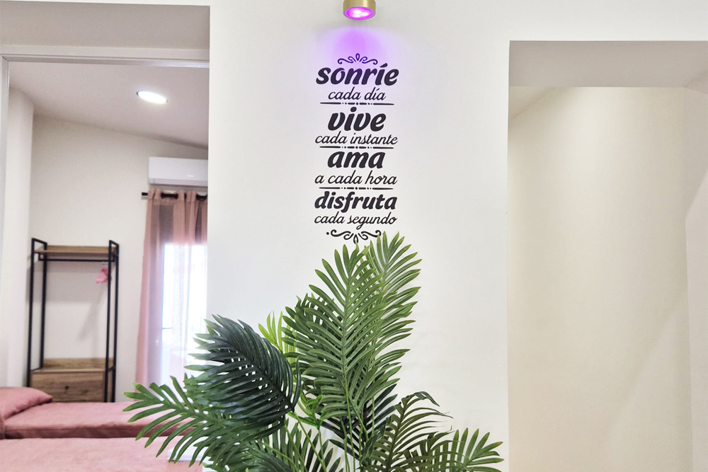 Alquiler apartamento Murcia the pink